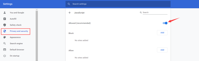 Allow JavaScript in Browser