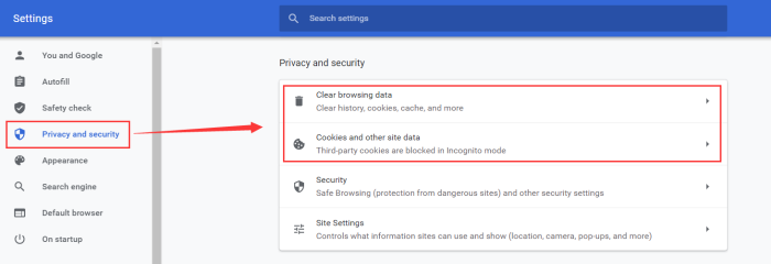 Clear Browser Cache Cookies