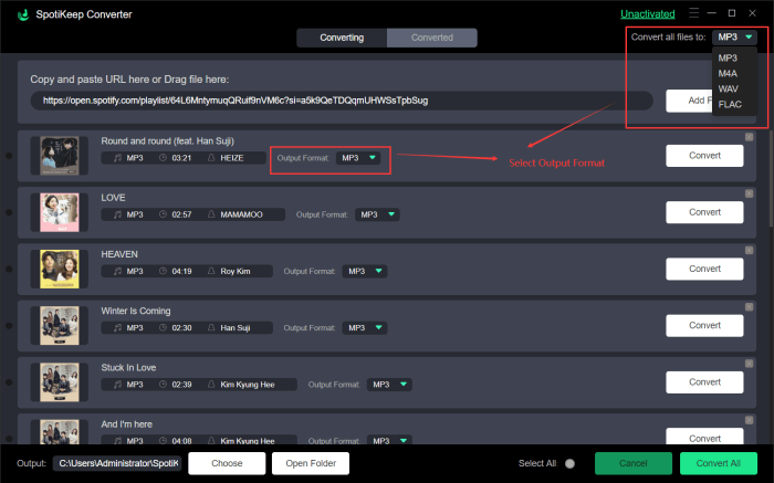 Select Output Format for Goblin Songs