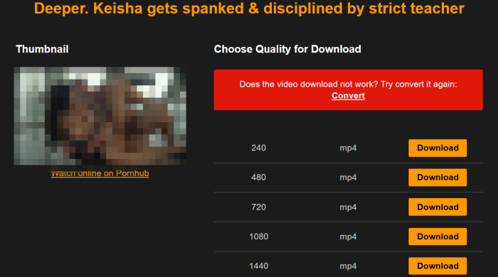 choose-quality-for-download-saveporn