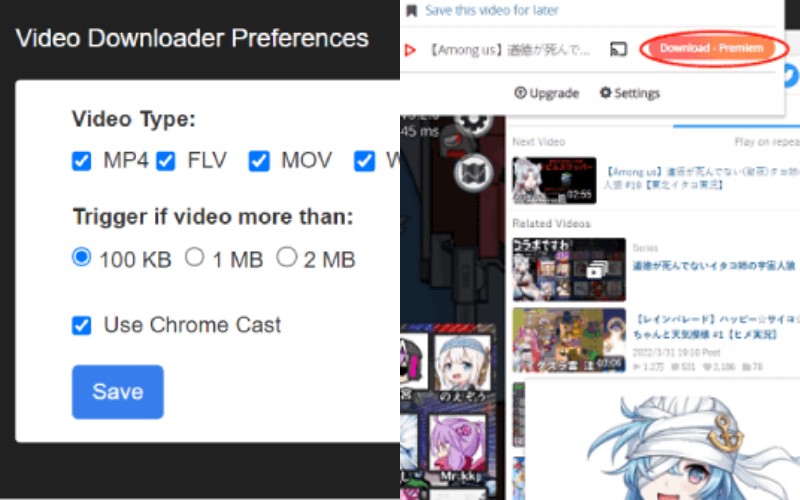 Choose Video Format and Click the Download Button