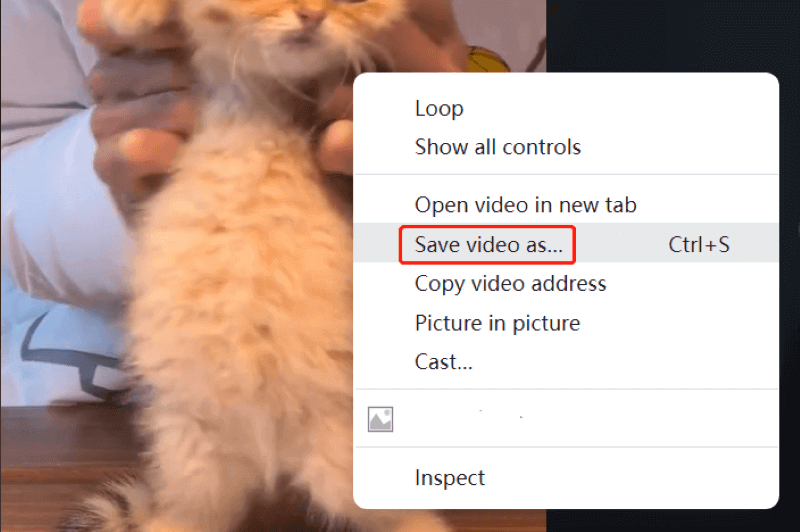 Click Save Video As