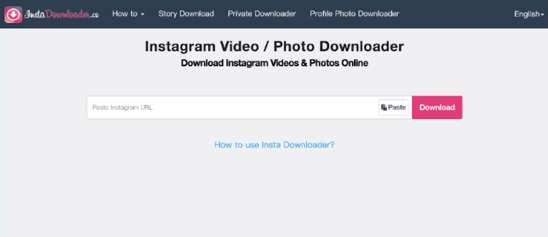 Download Instagram Videos and Photos on InstaDownloader 