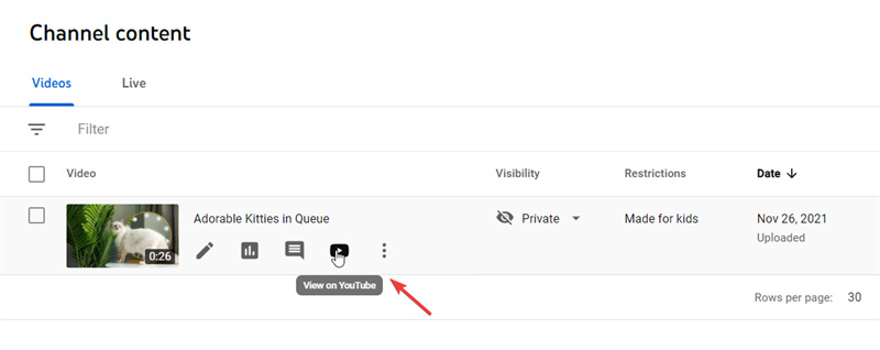 Copy YouTube Private Video URL
