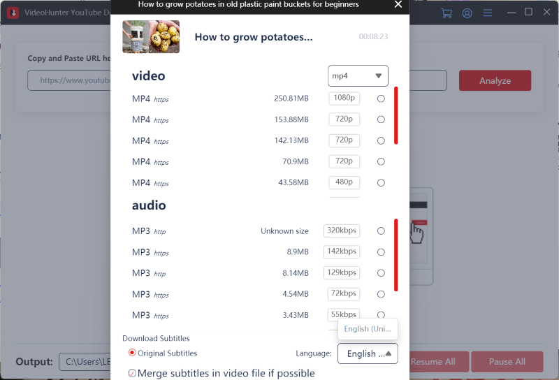 VideoHunter で YouTube 動画をダウンロード