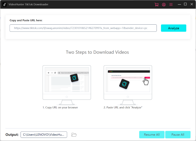 Paste TikTok Video URL to VideoHunter