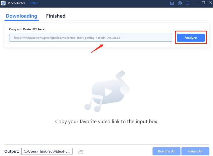 Copy and Paste Video URL to VideoHunter