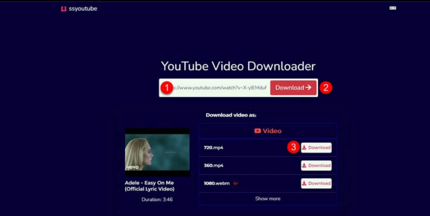 SSYouTube-videodownloader