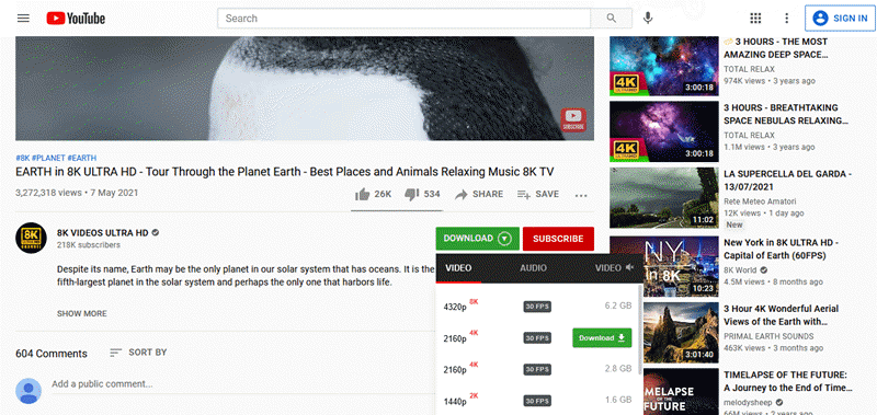Use Extension to Download YouTube Videos