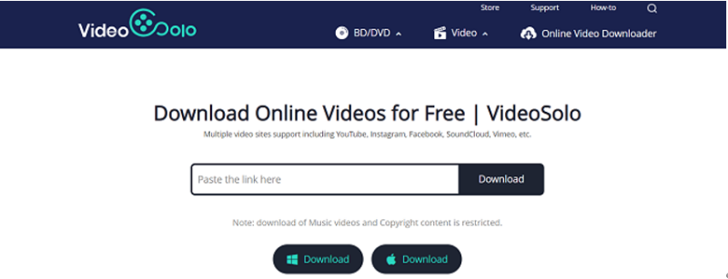 VideoSolo Online Video Downloader