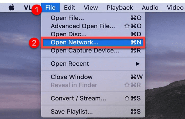 VLC Open Network Stream