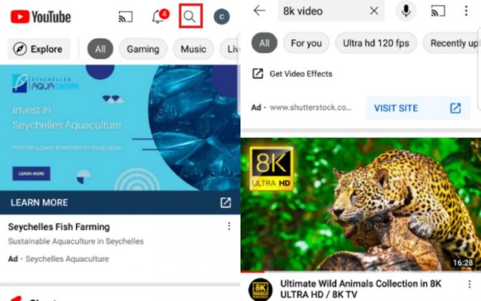 Search Video in YouTube APP
