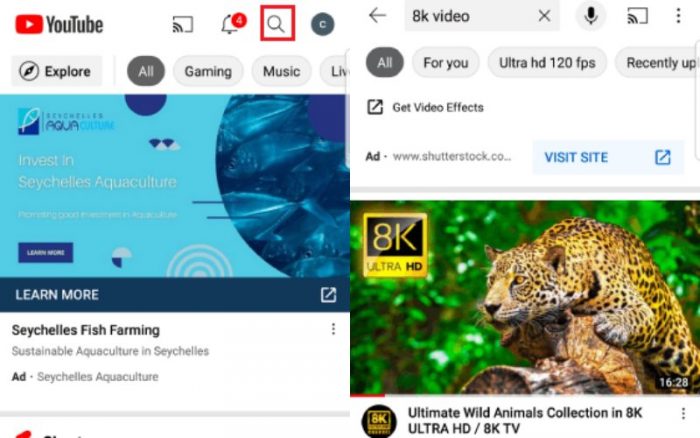 Rechercher une vidéo dans l'application YouTube